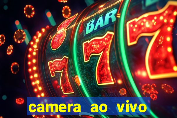 camera ao vivo beto carrero