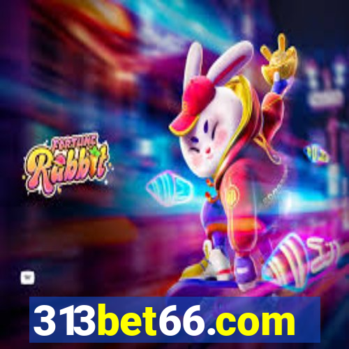 313bet66.com