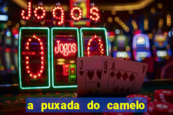 a puxada do camelo no jogo do bicho