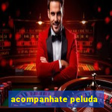 acompanhate peluda