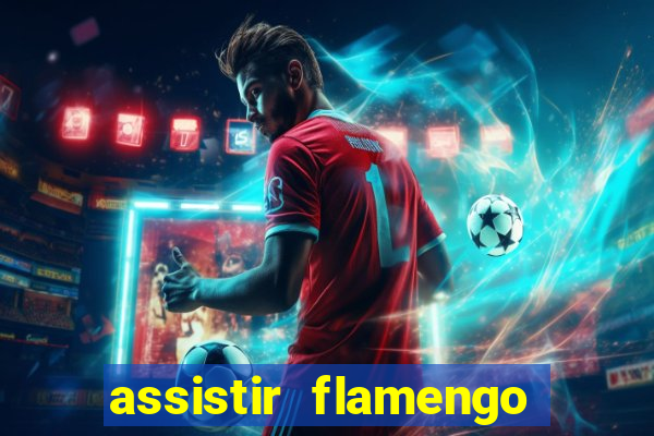 assistir flamengo futebol play hd