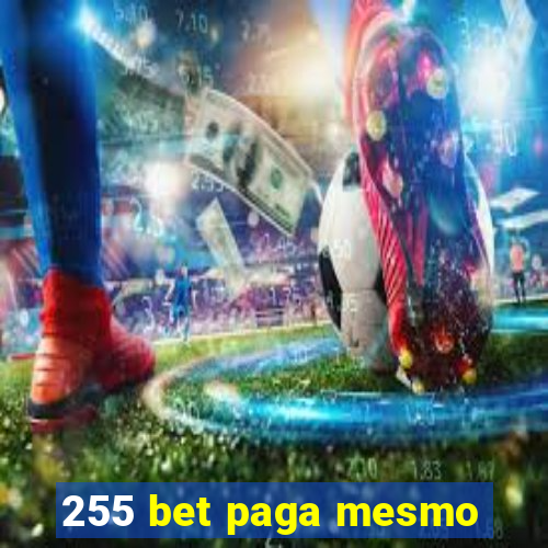 255 bet paga mesmo