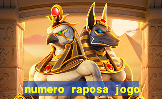 numero raposa jogo do bicho