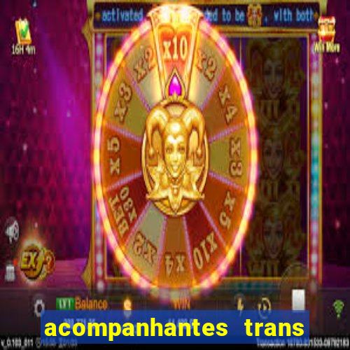 acompanhantes trans baixada fluminense