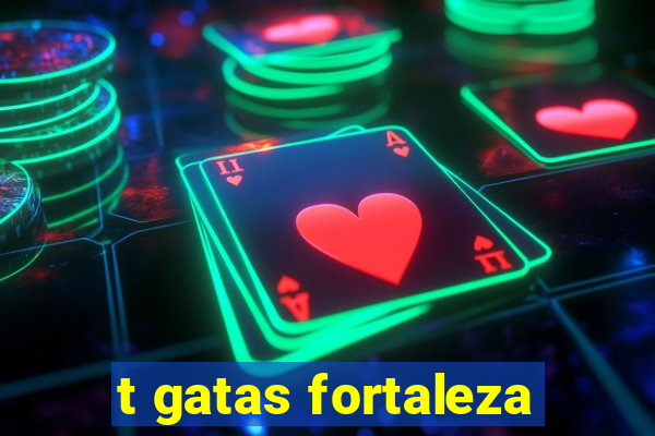 t gatas fortaleza